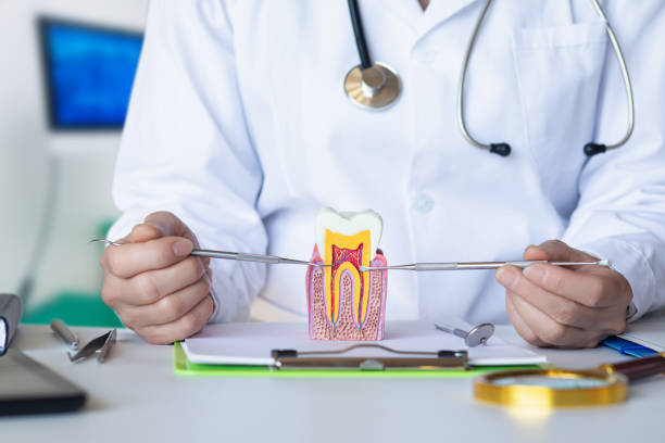 Best Pediatric Emergency Dentist in Lake Hamilton, AR
